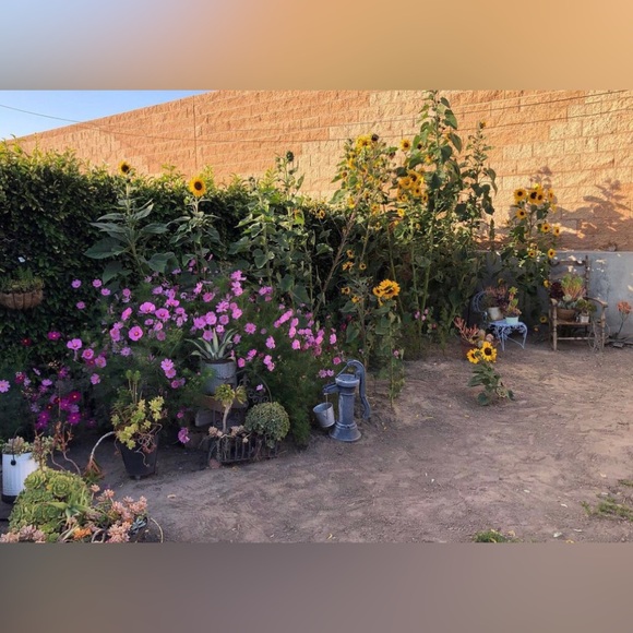 βπ·π Send ALL OFFERβS! I want you to get ποΈποΈ what you πLoveπ! - Picture 9 of 11